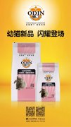 奧丁精品幼貓糧閃耀登場(chǎng)?。?！