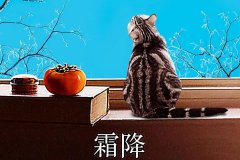 霜降丨縱然霜華盡染，心中美好如初